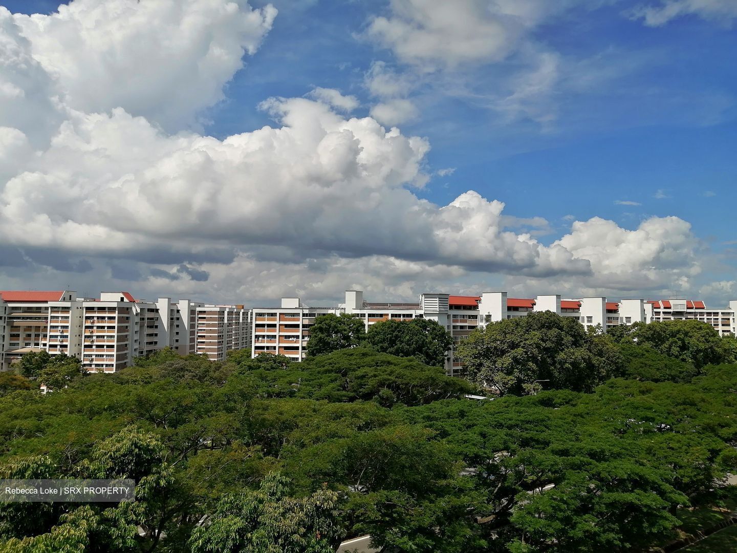 Blk 126 Simei Street 1 (Tampines), HDB 5 Rooms #585549541